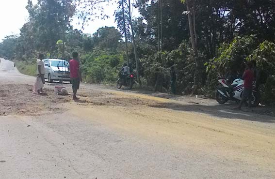 Warga Kelurahan Parit Culum 2 Kecamatan Muara Sabak Barat Kabupaten Tanjab Timur, terpaksa gotong royong memperbaiki jalan provinsi, yang sudah cukup memprihatinkan.