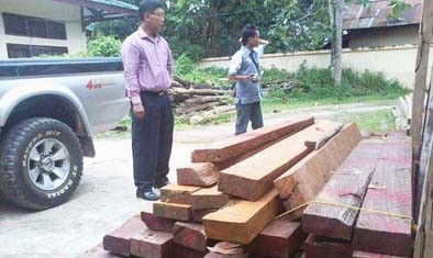 Ratusan kayu bulian ilegal sendiri diamanakan dari lima titik kawasan Tahura. Diantaranya, kasawan Tahura Sultan Thaha Syaifuddin di wilayah Desa Singkawang.