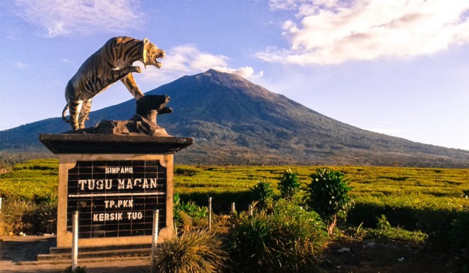 Gunung Kerinci adalah gunung tertinggi di Sumatera, gunung berapi tertinggi di Indonesia, dan puncak tertinggi di Indonesia di luar Papua.