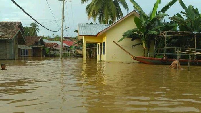 Banjir di Tebo Merendam Rumah Warga, Fasilitas Umum dan Juga Puluhan Hektare Sawah