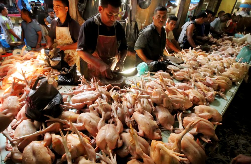 Salah Satu Pedagang Ayam Potong di Pasar