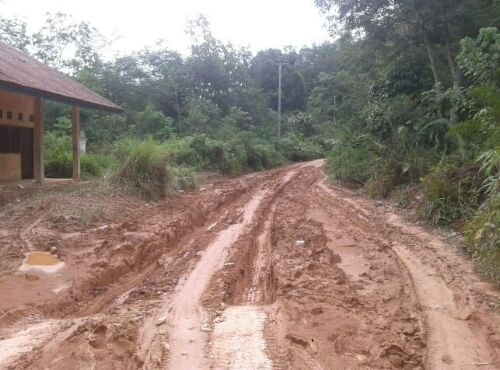 Kondisi Jalan Poros Utama Kecamatan Limun Kabupaten Sarolangun, Menuju Ex Marga Bukit Bulan