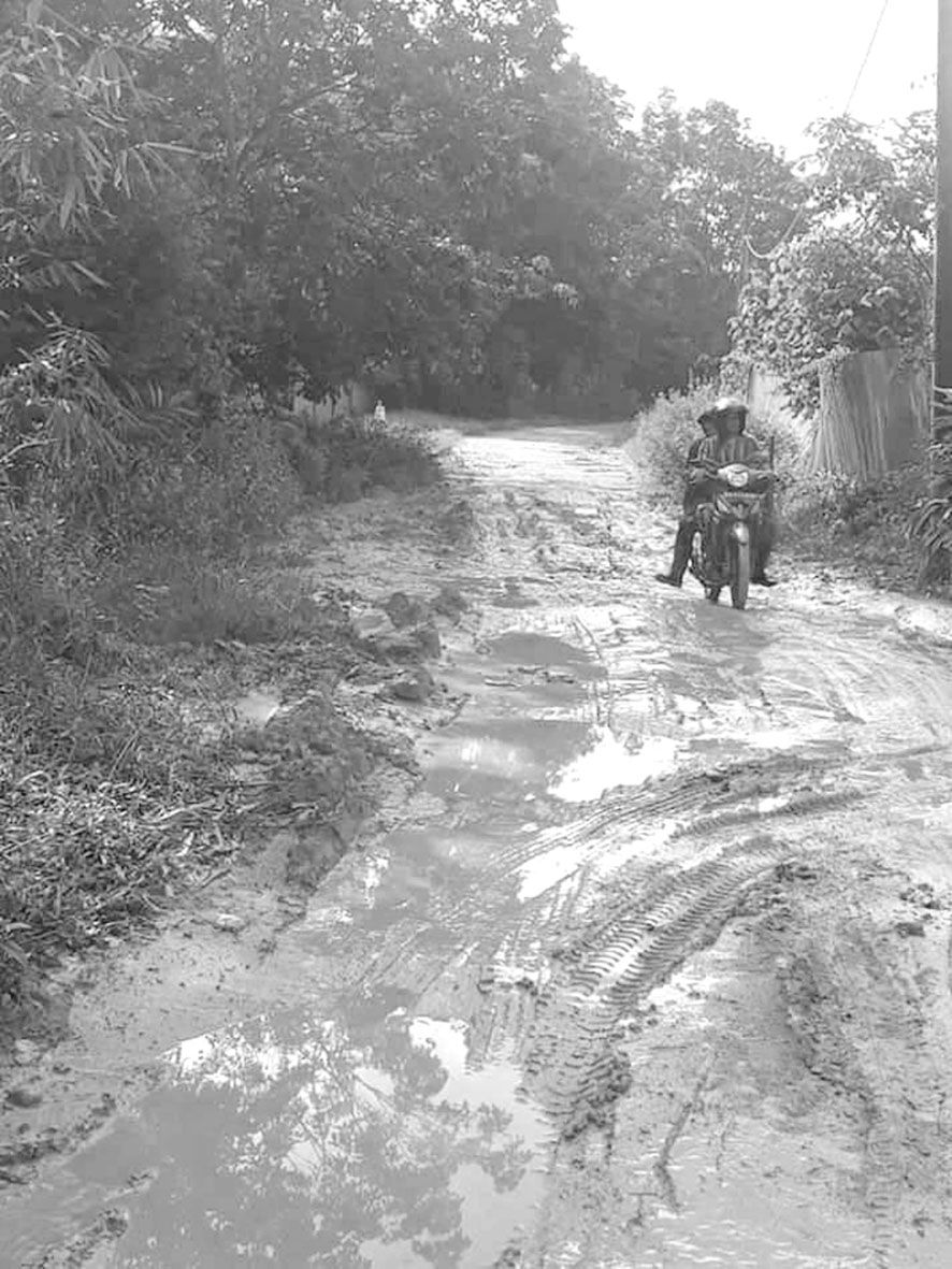 Kondisi Jalan Desa Serasah - Danau Serang, Kabupaten Batanghari