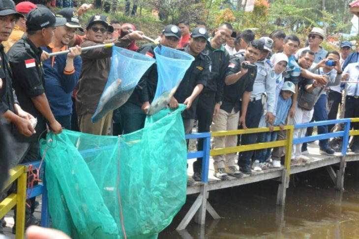 Plt Gubernur Jambi Fachrori Umar bersama Bupati Kerinci Adirozal panen ikan semah di Kolam Pertiwi BUMDesa Pendung Talang Genting