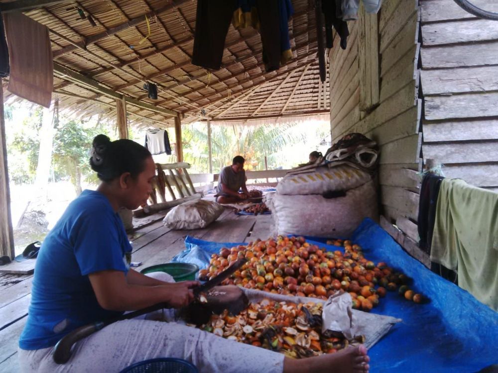 Petani Pinang Tanjab Barat