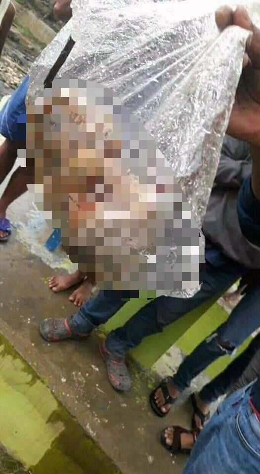 Bayi yang ditemukan tak utuh lagi di Kualatungkal