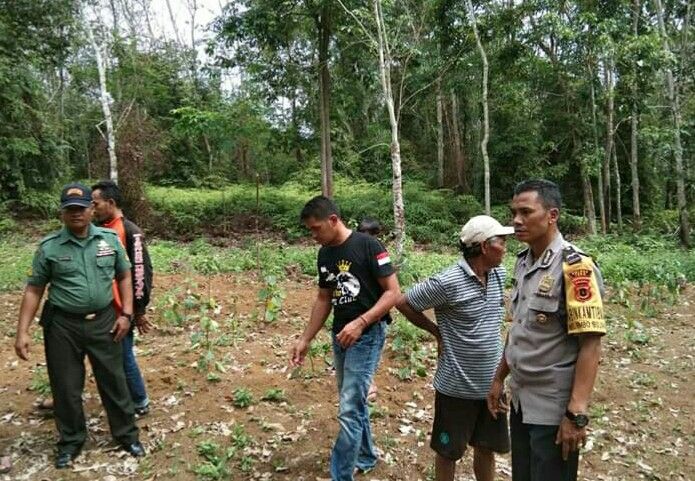 Tim Gabungan Turun untuk memeriksa jejak kaki harimau di kebun warga