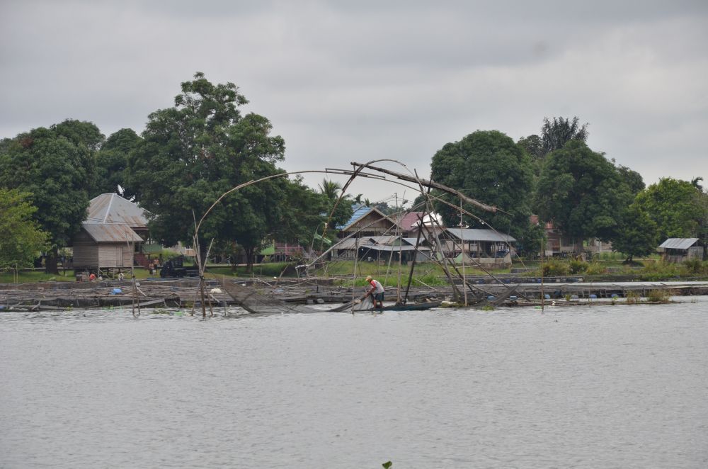 Petani Keramba Ikan di Danau Sipin
