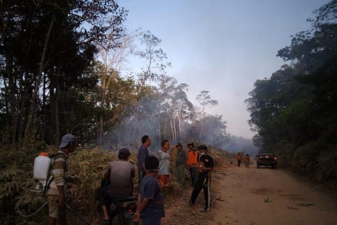Kebakaran hutan di Merangin.