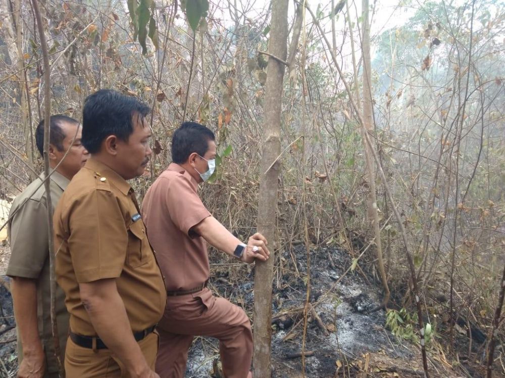 Bupati Batanghari mengecek lokasi Karhutla