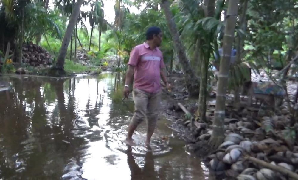 Wakil Ketua DPRD Tanjabbar, Sjafril Simamora saat meninjau pekerjaan.