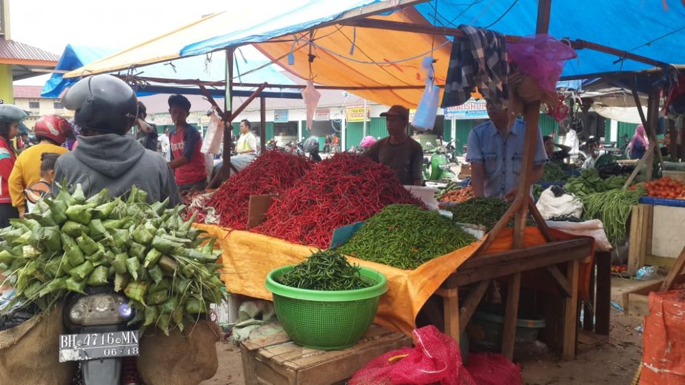 Harga cabai merah di naik mencapai Rp 150 ribu per kilo.