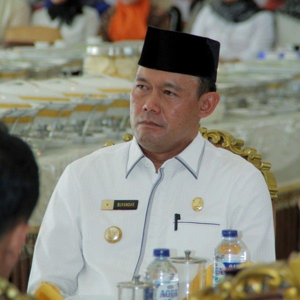 Sukandar merupakan ketua Dewan Penasehat (Wanhat) DPD II PG Tebo.