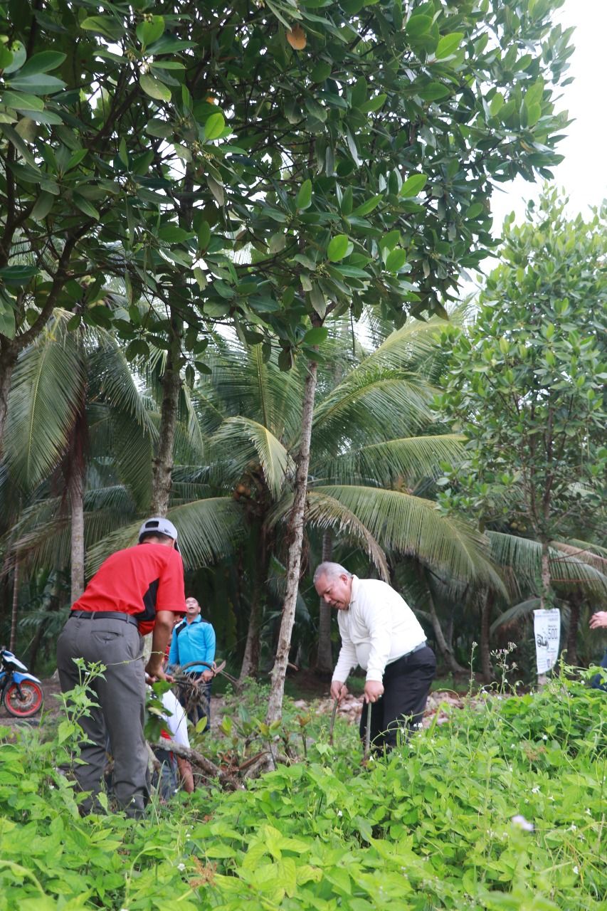 Bupati melakukan penanaman  Pohon
