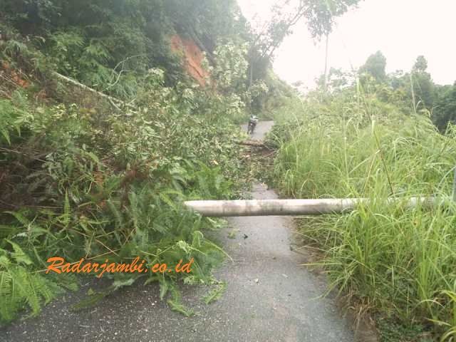 Salah satu titik jalan menuju Kecamatan Batang yang lumpuh