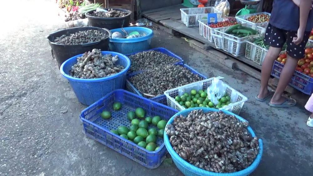 Harga Jahe di Batanghari mencapai Rp 60 ribu/kg