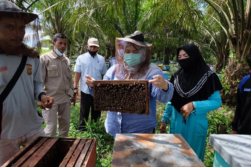 Bupati memegang langsung sarang lebah madu