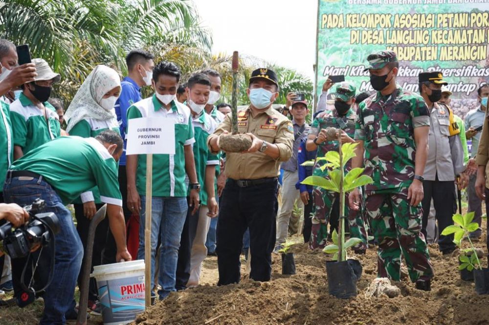 Tanam Perdana Porang dan Pelantikan Asosiasi Petani Porang Merangin (APPM), bertempat di Desa Langling Kecamatan Bangko Kabupaten Merangin, Jum'at (14/01/2022).