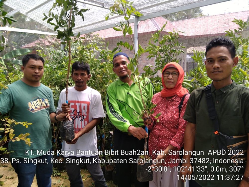 Kelompok Tani Muda karya Desa Pasar Singkut Menerima Bantuan Bibit  Buah-buahan