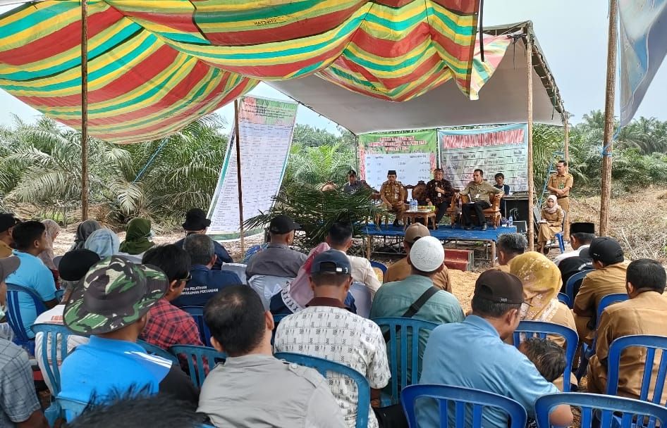 Gubernur Al Haris diusulkan Kementan terima penghargaan Satya Lencana Wirakarya pembangunan pertanian.