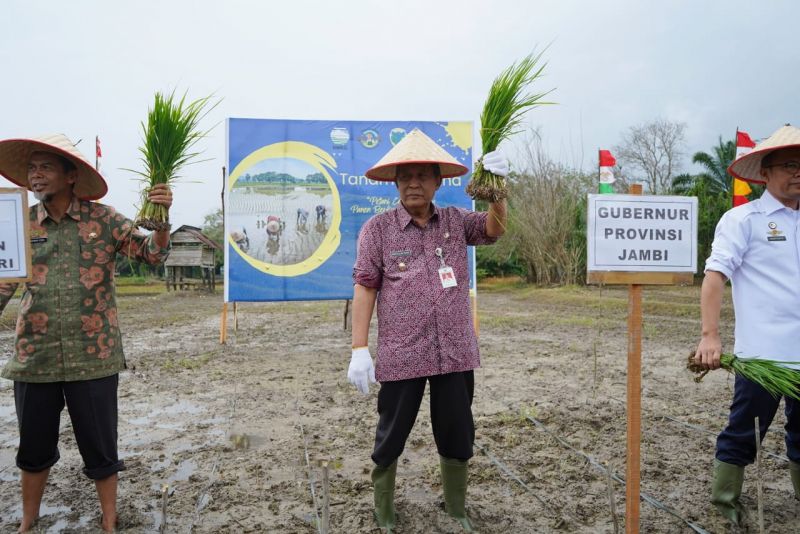 Wagub Jambi Abdullah Sani tanam perdana dalam Pembukaan Sekolah Lapang Iklim (SLI) Operasional di Kabupaten Batanghari Provinsi Jambi Tahun 2024 di Desa Selat, Kecamatan Pemayung, Kabupaten BatangHari, Kamis (16/5).