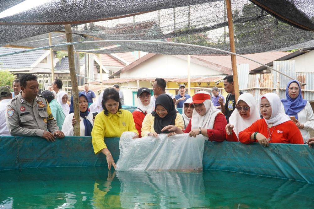 Ketua IKBI PTPN IV Regional 4 Jambi, Ny Lina Ospin saat melepas bibit ikan di kolam Kampung Bantar Sukasari.