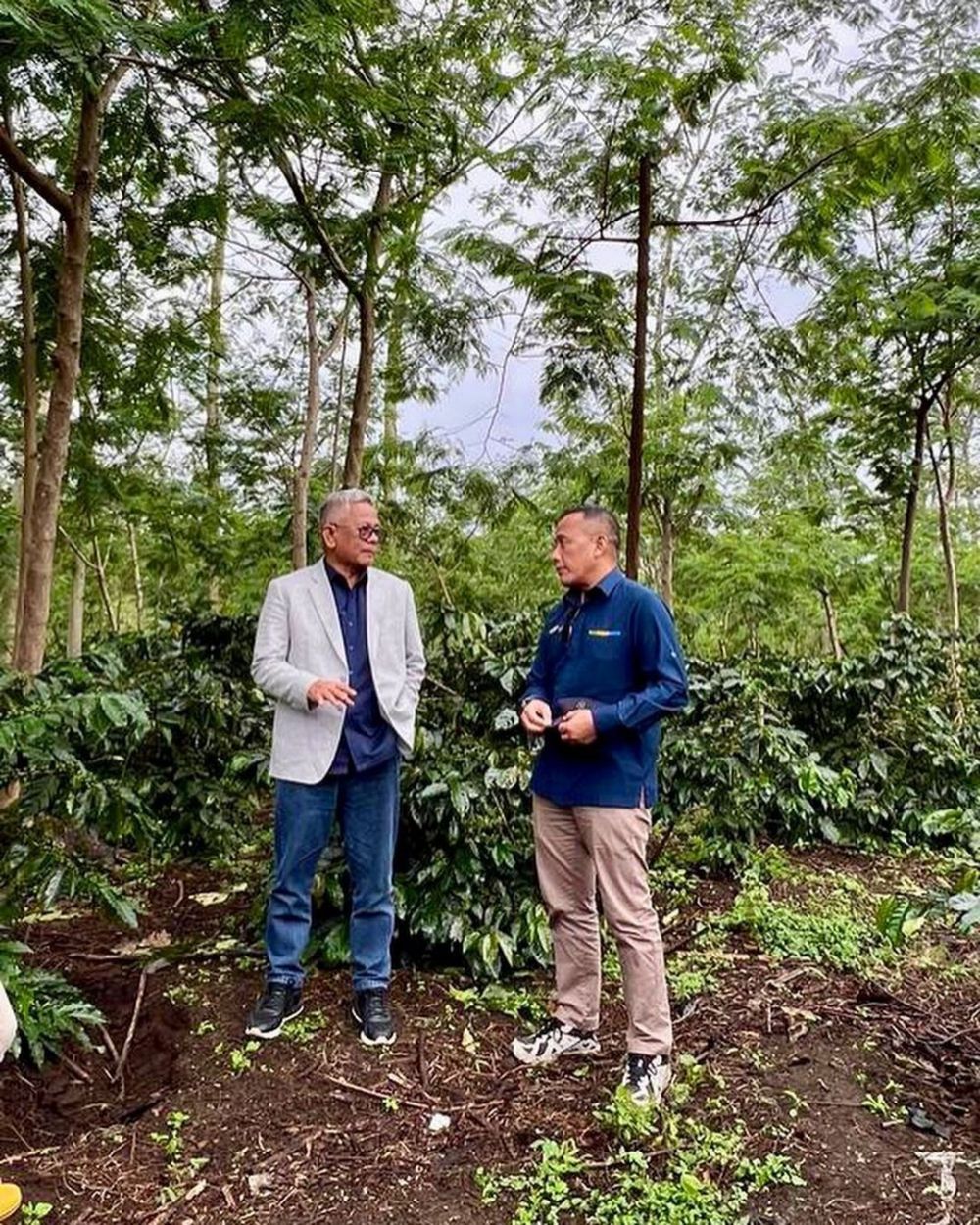 Direktur Utama Holding Perkebunan PTPN III (Persero) Mohammad Abdul Ghani (kiri) bersama Dirut PalmCo Jatmiko Santosa saat di kebun kopi JCE, Bondowoso Jawa Timur. Sampai September tahun ini, JCE telah memproduksi 821 ton kopi arabika dan 32 persennya diserap pasar manca negara mulai dari Amerika hingga Eropa.