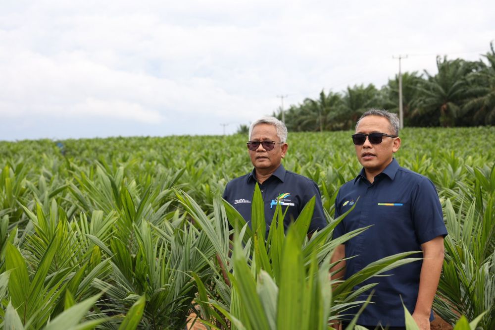 Dirut PTPN III (Persero) Muhammad Abdul Ghani dan Dirut PTPN IV PalmCo Jatmiko Santosa di tengah bibit sawit di salah satu sentra bibit di Riau. PTPN akan melakukan pilot project penanaman padi gogo melalui mekanisme intercropping dilahan Peremajaan Sawit Rakyat guna mendukung swasembada pangan nasional.