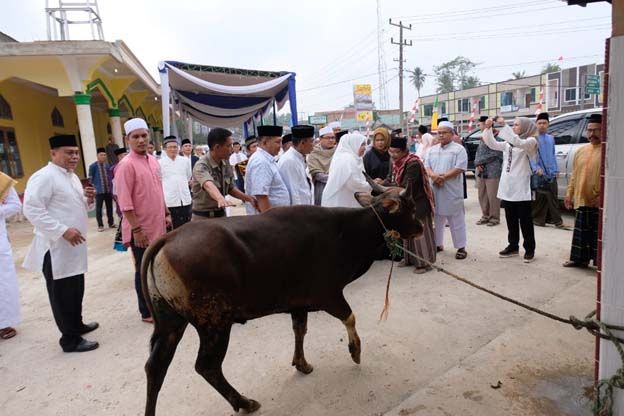 Bupati menyerahkan hewan kurban.