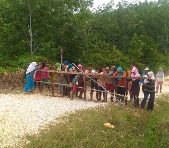Kalangan ibuk-ibuk yang juga karyawan lepas PT SAPM yang membuka paksa portal jalan PT SAPM