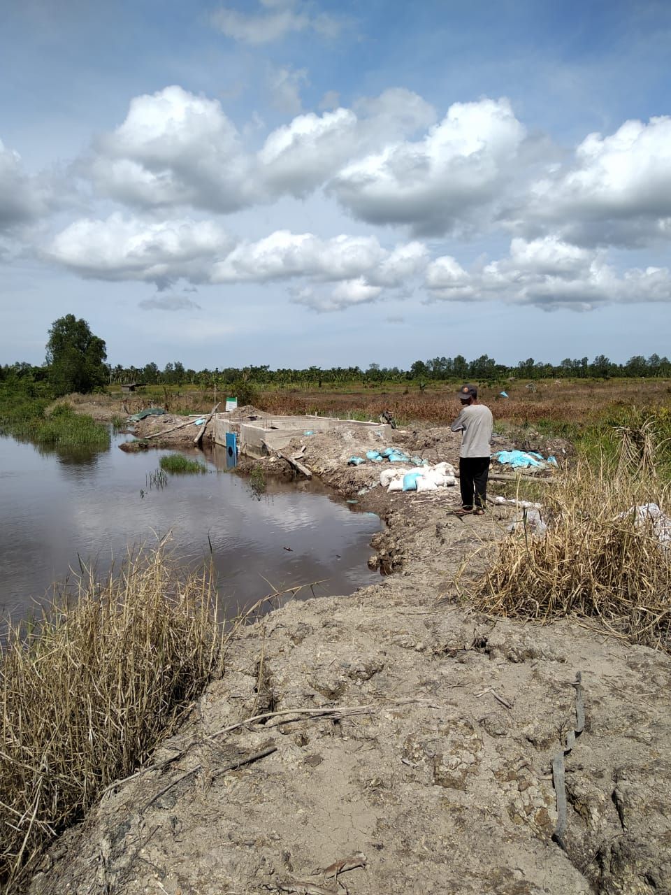 Pembanggunan Tanggul Oleh Dinas PUPR Tanjabbarat