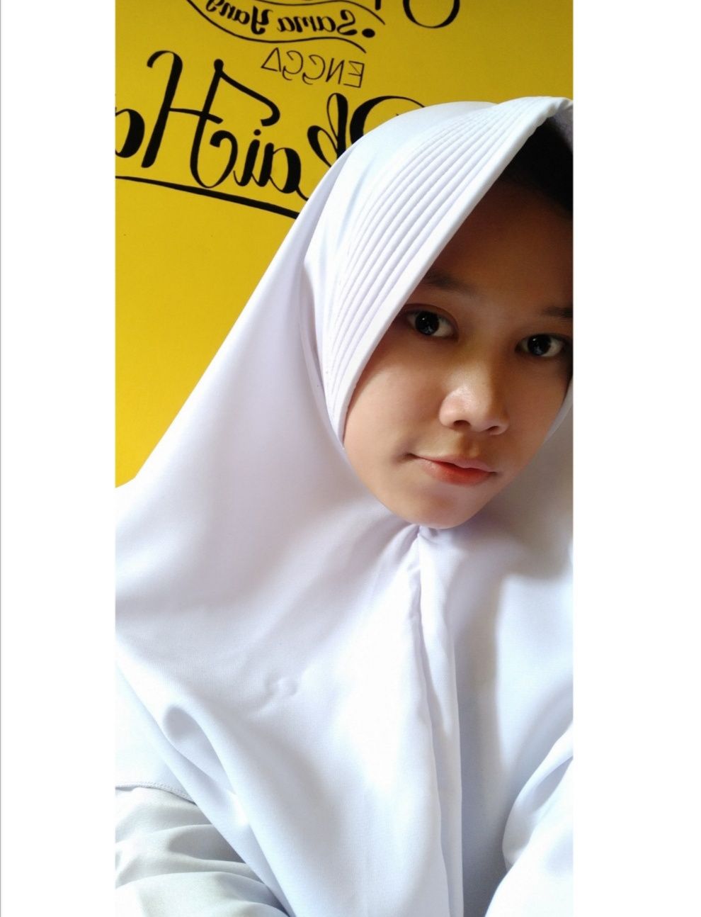 Mega Anis Silvia