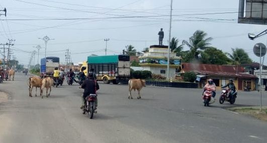 H-7 Idul Fitri Truk Angkutan Barang dilarang Melintas 