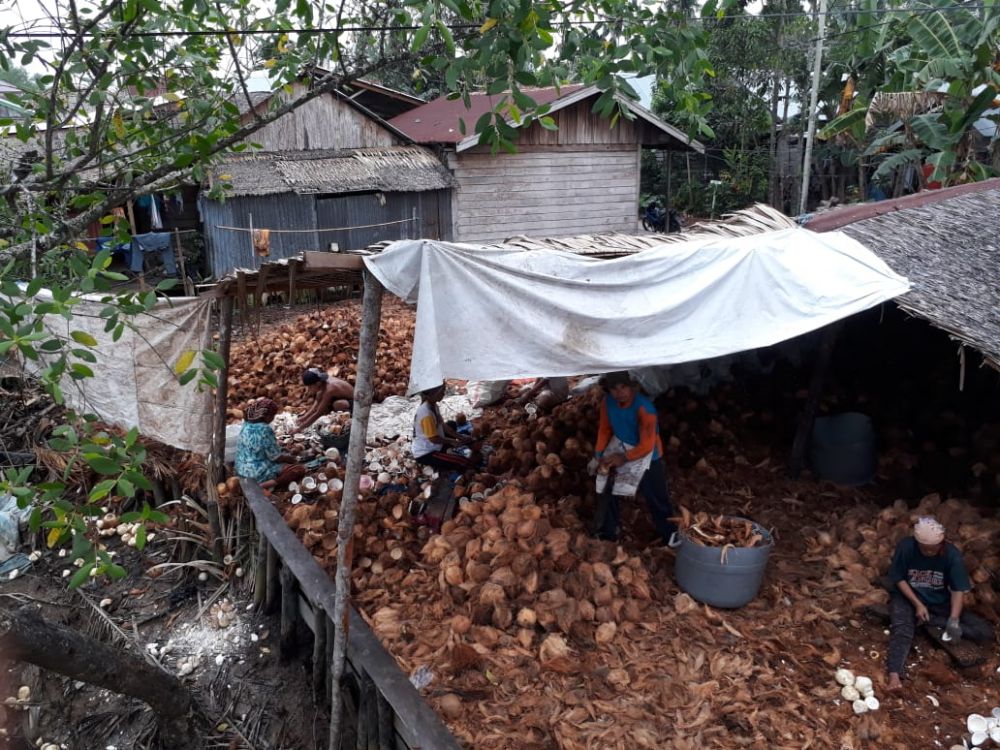Pengepul saat mengolah kelapa dalam 
