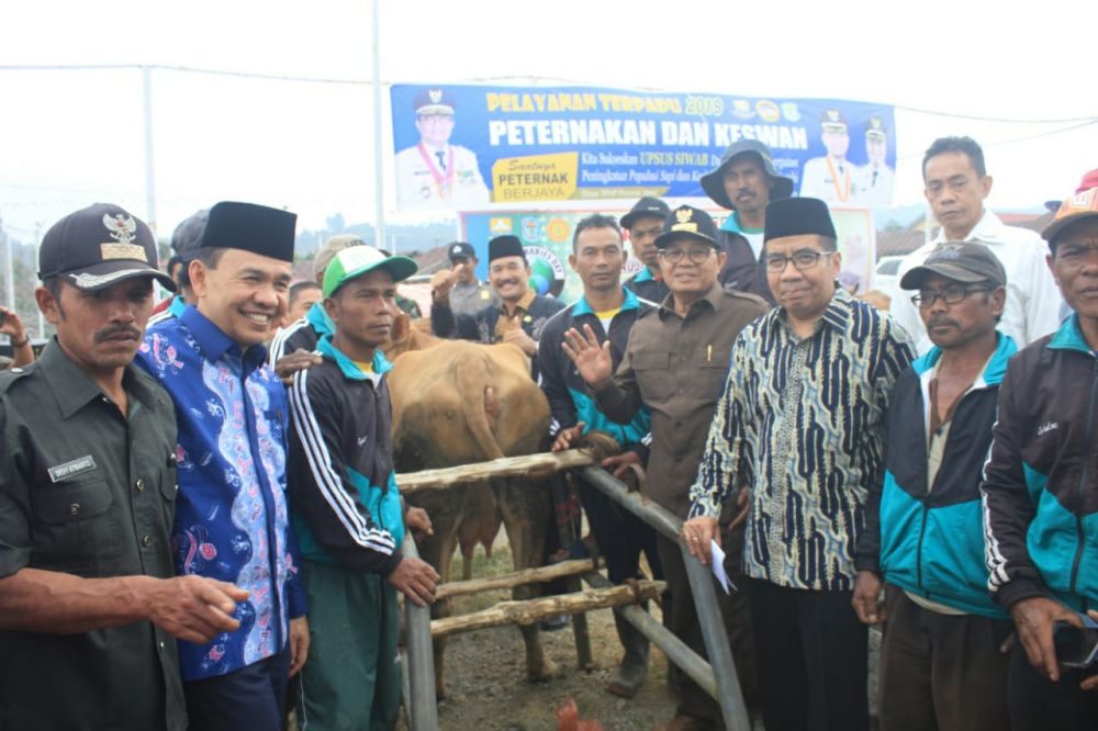 Fahorori melakukan inseminasi buatan di Kerinci