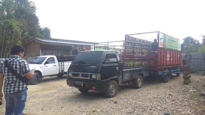 Pangkalan gas 3 kg.