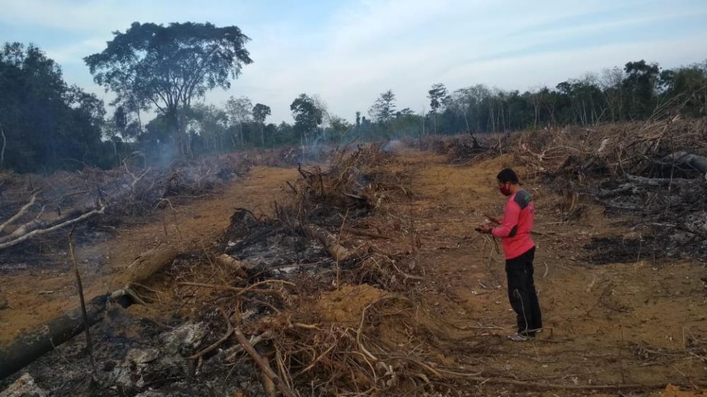 Delapan titik Api ditemukan di Batanghari