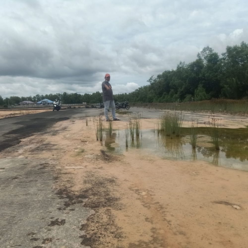 Kondisi Lapangan Balap Sudah ditumbuhi Rumput

