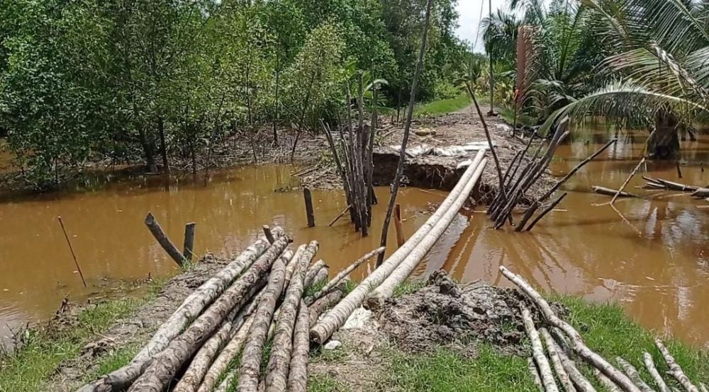 Tanggul yang jebol di Desa Muara Seberang Tanjung  Jabung Barat