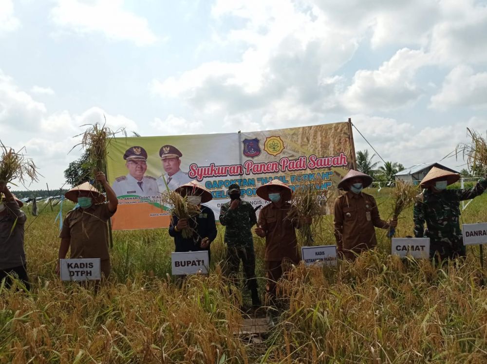 Bupati  Anwar Sadat Panen  raya Padi