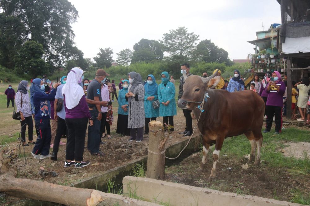 Ketua TP PKK Provinsi Jambi, Hj. Hesnidar Al Haris  Serahkan Bantuan Hewan Kurban ke Warga Kelurahan Legok Kota Jambi. 