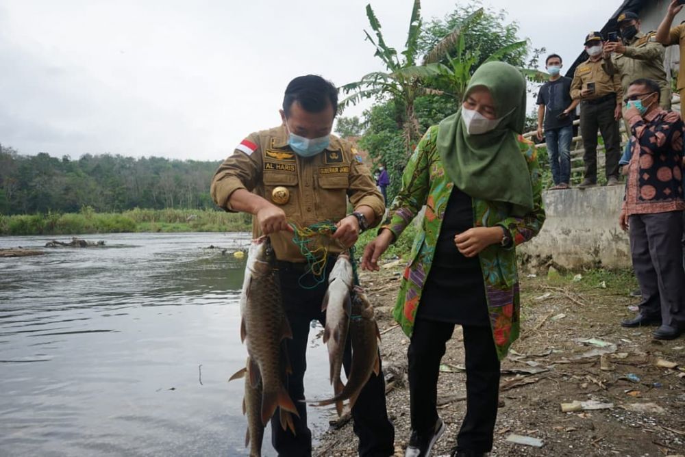 Gubernur Al Haris Ikut Panen Ikan Semah di  lubuk larangan di Desa Pengasi Lama Kecamatan Bukit Kerman Kabupaten Kerinci, Selasa (3/8/2021).