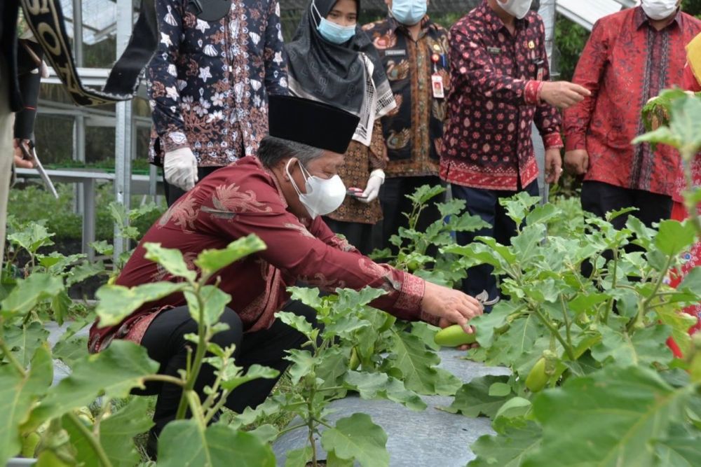 Wakil Gubernur Jambi Drs. H. Abdullah Sani, M.Pd.I, mengunjungi Kawasan Pangan Lestari Kelompok Tani Rengas Kuning Sejahtera di Kelurahan Teluk Dawan Kecamatan Muara Sabak Barat Kabupaten Tanjung Jabung Timur, Kamis (05/08/2021).