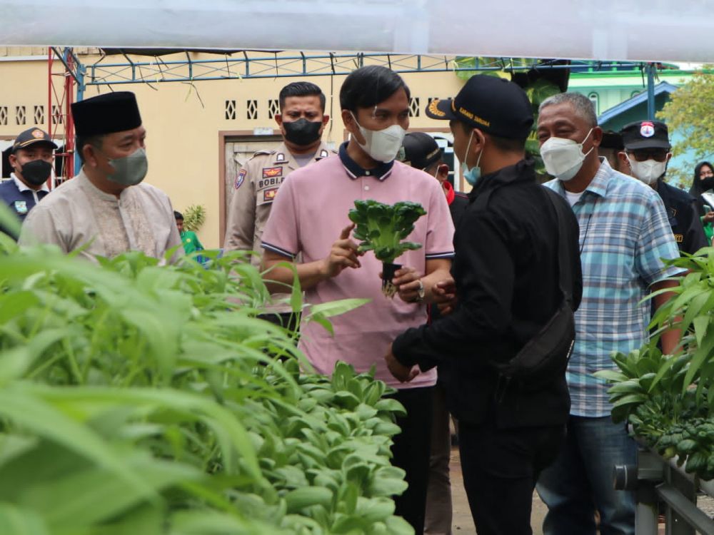Ketua DPRD Provinsi Jambi Edi Purwanto melakukan panen perdana sayuran hidroponik di Cakra Muda Green Farming yang bertempat di  kelurahan lingkar selatan, kecamatan pal merah, Kota Jambi,  Jum’at (7/1/2022). 