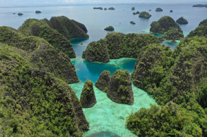Dampak Tambang Nikel di Raja Ampat: Antara Pembangunan dan Pelestarian