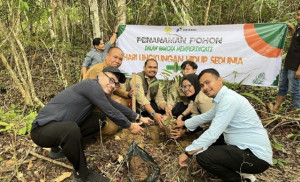 Hari Lingkungan Hidup Sedunia, PHR Zona 1 Tanam Lebih dari 4.000 Pohon