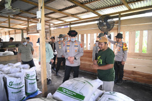 Dukung Ketahanan Pangan Nasional, Polda Jambi Gelar Tanam Jagung Raya Serentak Kuartal I Tahun 2026
