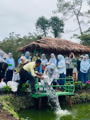 Ketahanan Pangan, IKBI PTPN Sebar Ikan Nila di Kolam Stunting 