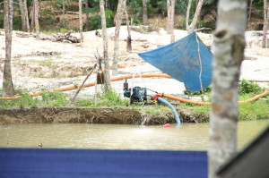 Kelestarian Alam Rivera Park Selalu di Bawah Ancaman Tambang Illegal