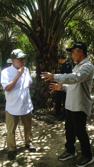 Tim Operational Strategic Advisory (OSA) Holding PTPN Motivasi  Regional IV Untuk Berinovasi